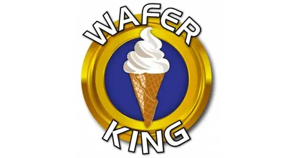 Wafer